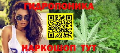сатива Конаково