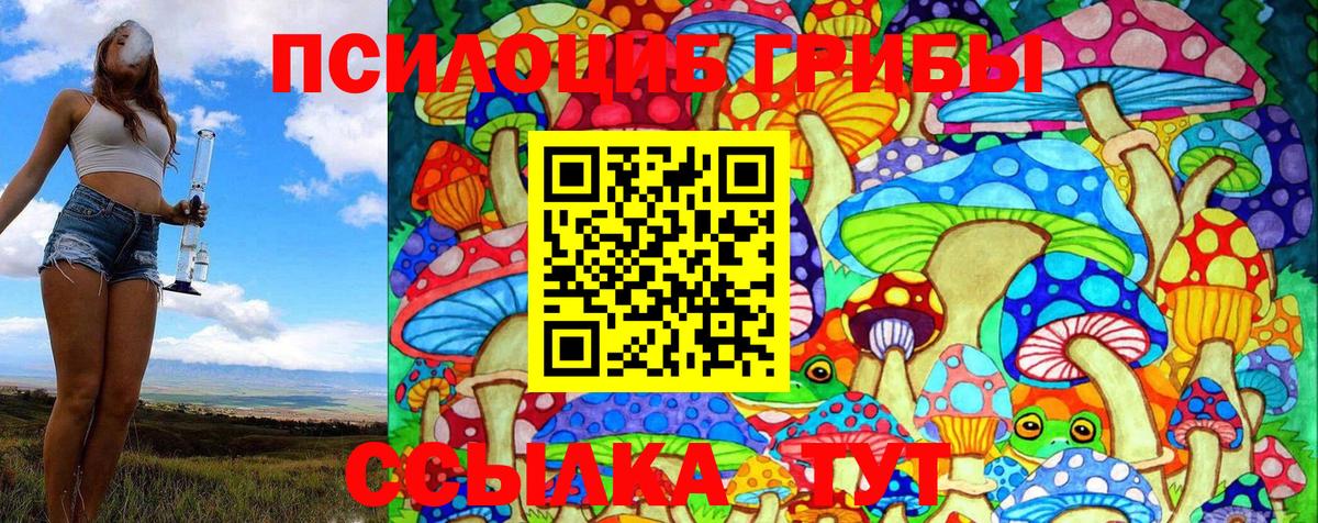 Галлюциногенные грибы GOLDEN TEACHER Чебаркуль
