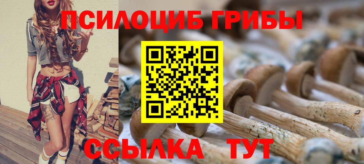 Псилоцибиновые грибы прущие грибы  Псилоцибиновые грибы GOLDEN TEACHER  Чебаркуль  купить   Вход с VPN 